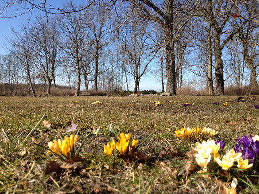 Frühjahr 2013 | Blick in den Park