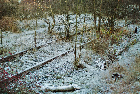 Dez. 1989 Die letzten Meter bis zur DDR-Grenze