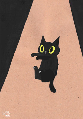 浮猫
