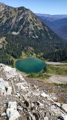 Hopkins Lake - nochmal baden vor dem Grenzübertritt