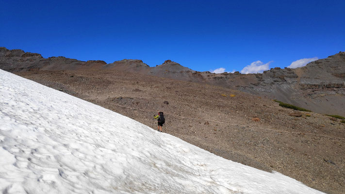 Schneepatch vor Sonora Pass