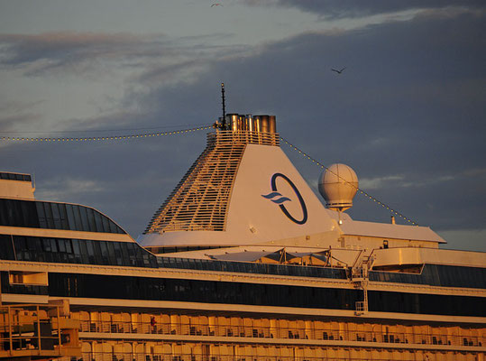 die "Marina"