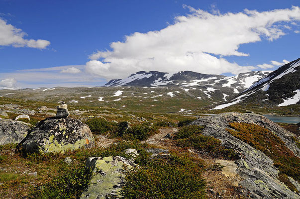 Strynefjell