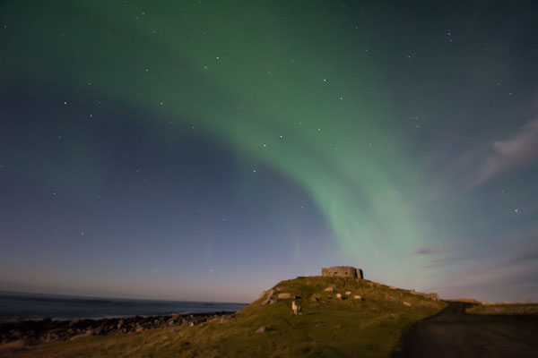 07.10.2014 03:50 MESZ