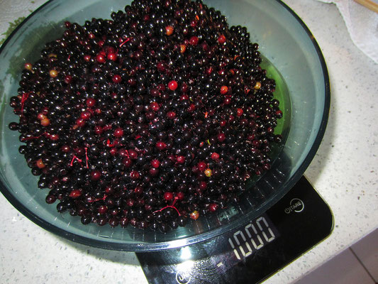 1kg beeren werden 