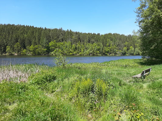 Kleine Pause am See