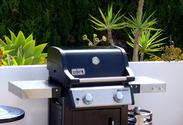 Weber Gasgrill