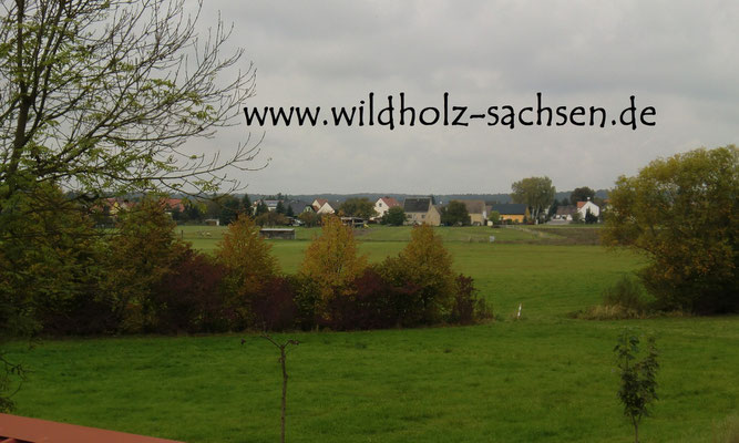 Blick aufs nahe Dorf Weidenhain