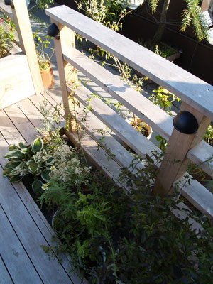 フェンスの足元には植栽が入るスペースを設けました。