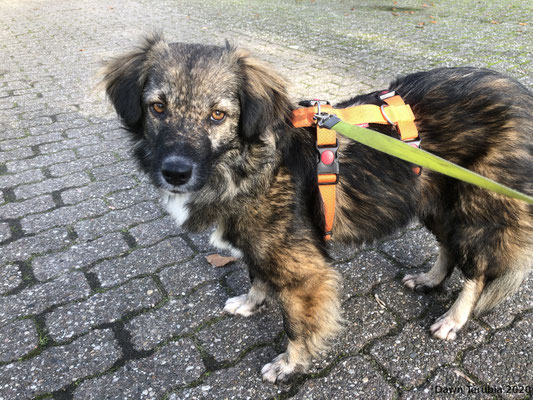 November 2020 - das erste Beschnuppern