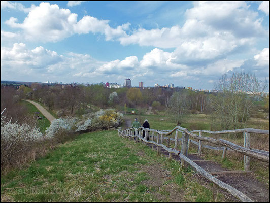 Naturpark Marienfelde