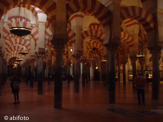 Säulenhalle der Mesquita in Cordoba/Spanien