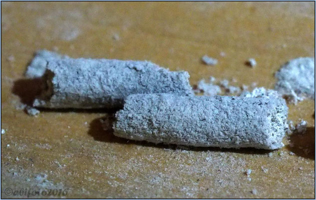 abgefallene Räucherstäbchenasche