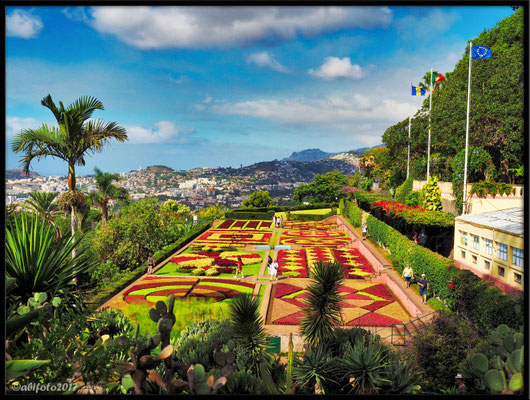 "Jardim Botanico", Funchal (Madeira)/Portugal 2017