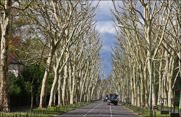 Puschkinallee in Treptow