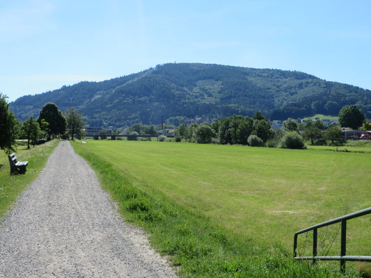 Kinzigdamm Richtung Steinach