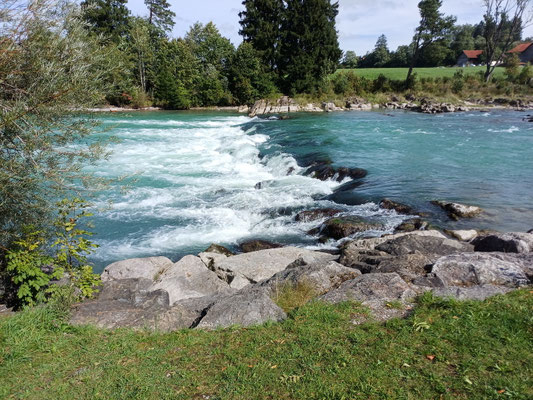 Der Lech bei Lechbruck