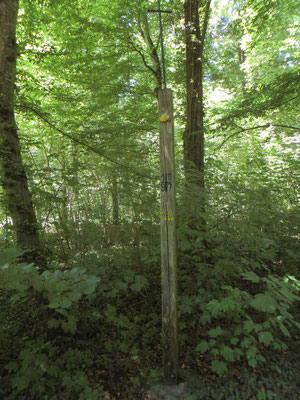 Jakobuskreuz im Altenheimer Wald