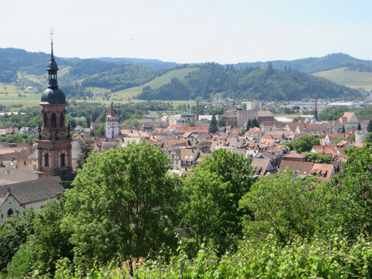 Blick auf Gengenbach