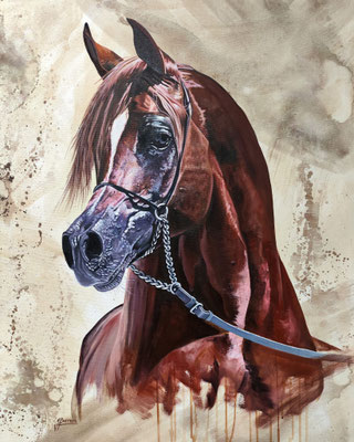 CABALLO ARABE II- Óleo sobre lienzo 100x81 cm. DISPONIBLE