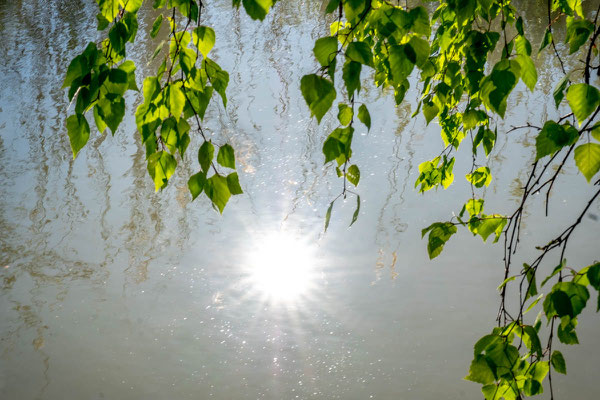 sonnenhaft