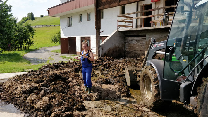Freiwillig Am Bauernhof Ein Stadtmadel In Tirol Out Of Life