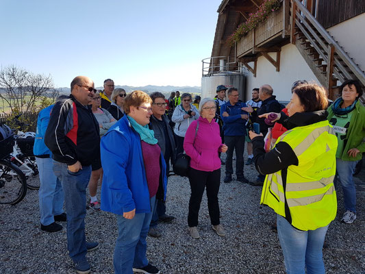 FLYER E-Bike-Auflug durch "Ämmitau" 26.10.2019