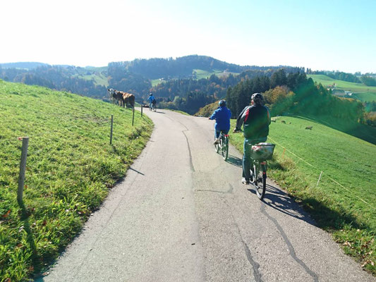 FLYER E-Bike-Auflug durch "Ämmitau" 26.10.2019