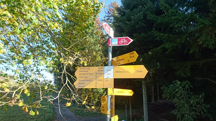 FLYER E-Bike-Auflug durch "Ämmitau" 26.10.2019