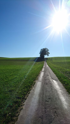 FLYER E-Bike-Auflug durch "Ämmitau" 26.10.2019