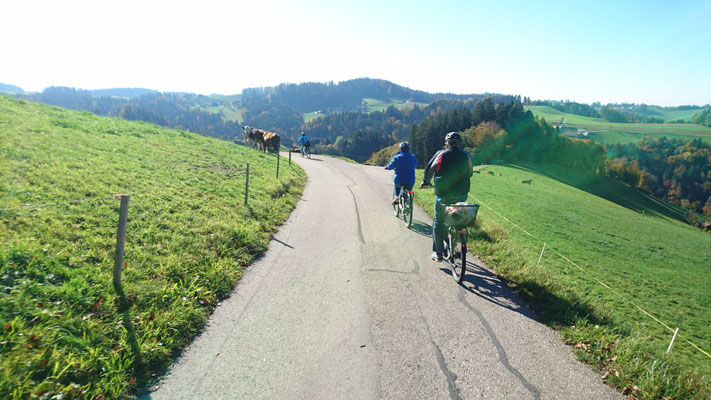 FLYER E-Bike-Auflug durch "Ämmitau" 26.10.2019