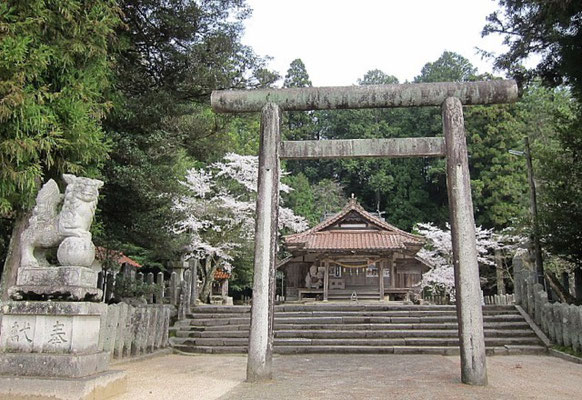 阿戸明神社の桜