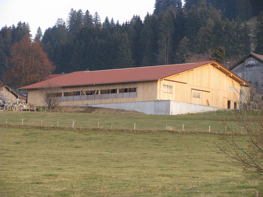 Neubau eines Laufstalles