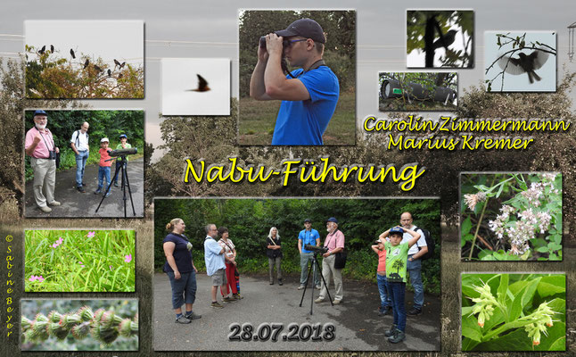 Collage und Fotos S. Beyer