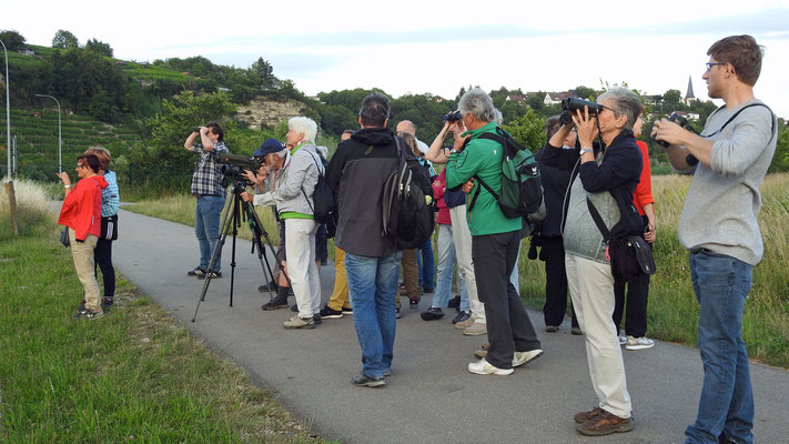 Besuchergruppe, Foto Sabine Beyer