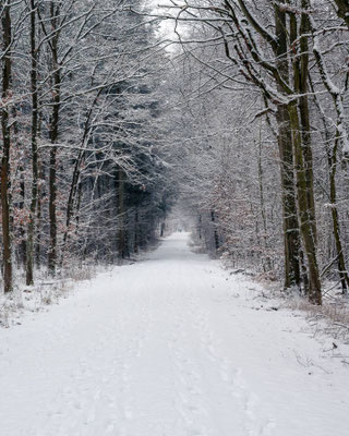Kelley_Chet_Stadtwald