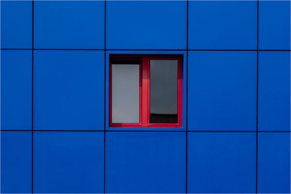Steinhäuser_Hans_Rot auf Blau