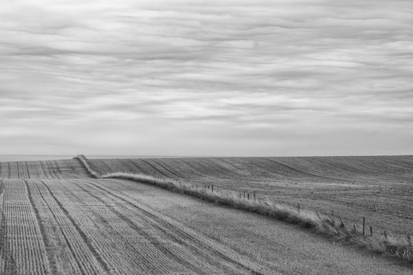 Kelley_Chet_Harvested Fields