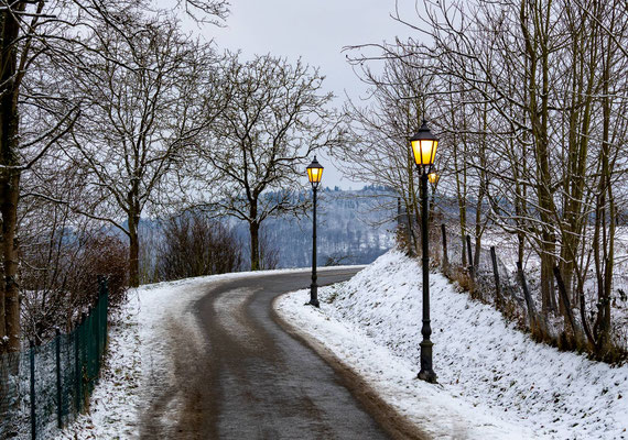 Weiß_Monika_Winterspaziergang