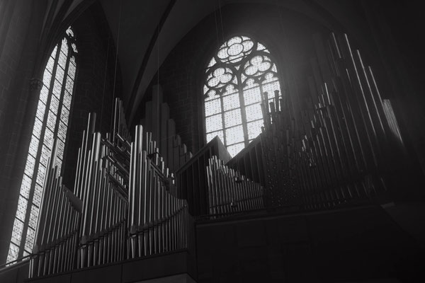 Ancona Franca_the organ