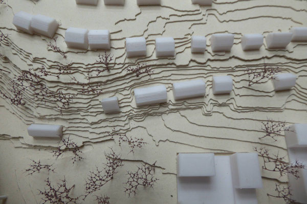 Roseanu_Oana_Architektur_Plan