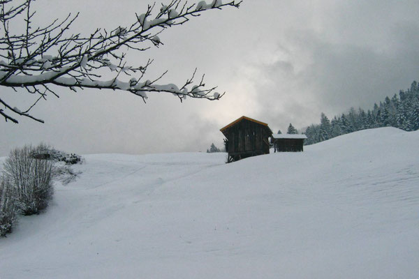 Ancona Franca_snow mood