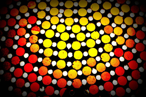 Oppenheimer_Dr_Christa - Bunt-BSW