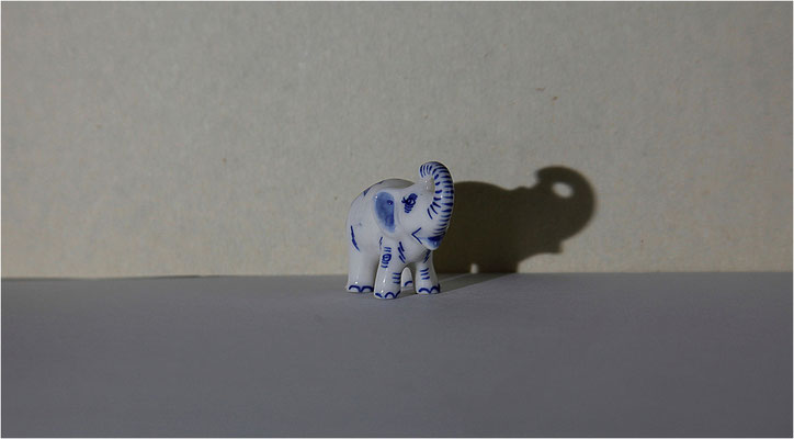 Zenker_Irena_Elefant