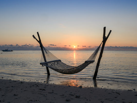 Kelley_Chet_Hammock in the sunset