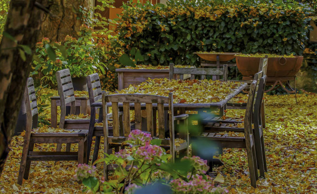 Weiß_Monika_Goldener Herbst