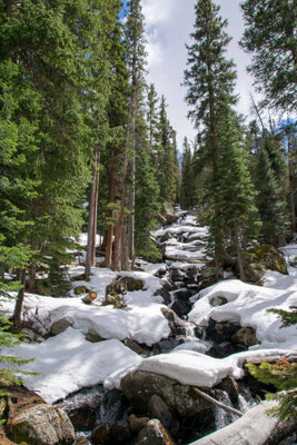 Kelley_Chet__Rocky Mountain Snow