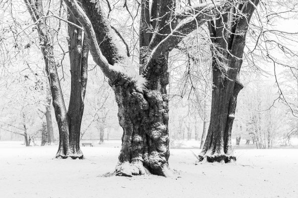 Gubitz_Andrea_Im_Park