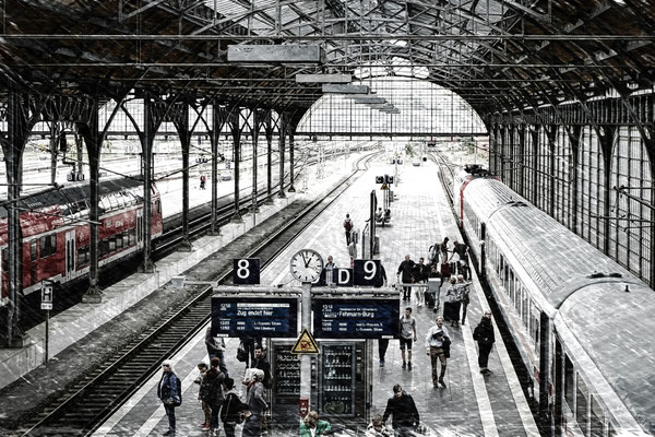 Ancona Franca_D9