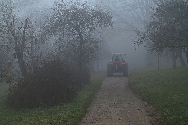 Donth_Rudolf_ Landwirt im Nebel